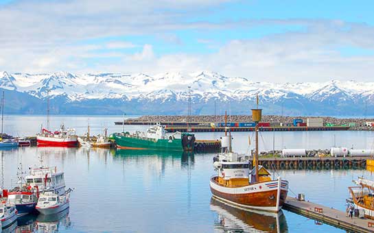Iceland Expat Health Insurance